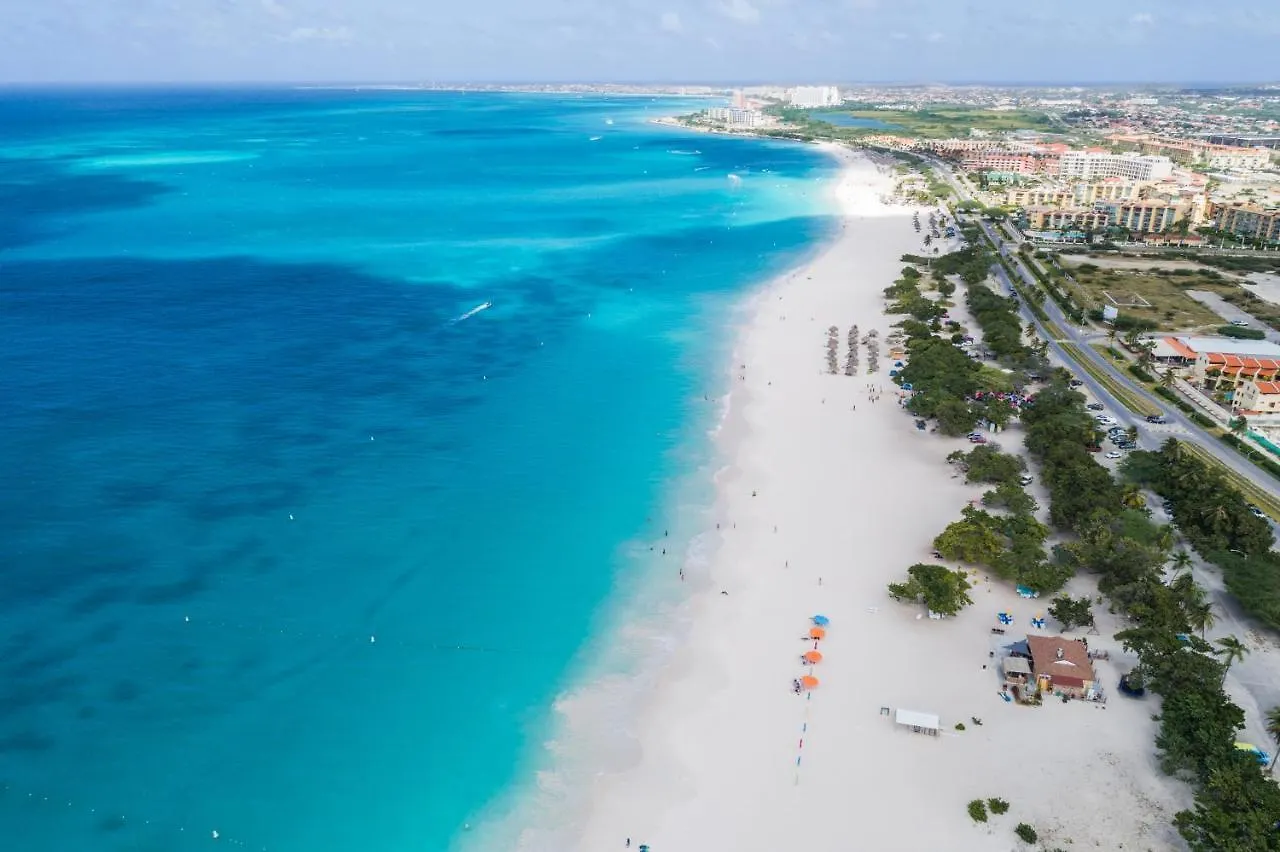 Caya Bista Lama 26 Palm Beach