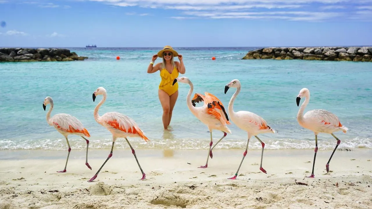 Caya Bista Lama 26 Palm Beach Nyaraló