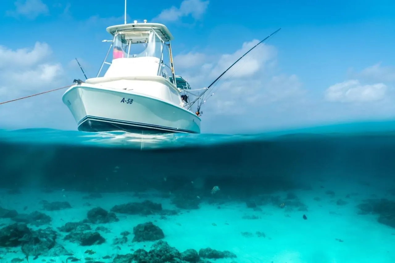 Caya Bista Lama 26 Palm Beach 0*,  Aruba